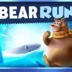 Bear Run