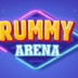 Rummy Arena 1