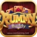 Rummy Buddy Apk