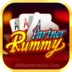 Rummy Partner