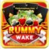 Rummy Wake 51 Bonus