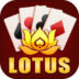 Lotus Rummy Download