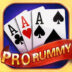 Rummy Perfect Pro