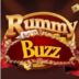 Rummy Buzz 41 Bonus