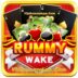 New Cash Rummy App