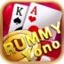 New Rummy App 2024 Apk Download