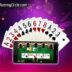 Rummy Circle Online Game