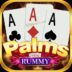 Rummy Palms 41 Bonus