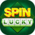 Spin Rummy 51 Bonus