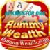 Wealth Rummy 777