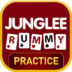 Junglee Rummy Owner