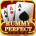 Rummy Perfect Game