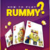 Rummy Winzo