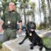 Game Warden Jobs