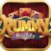 New Rummy Game Rummy Buddy App Download