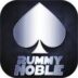 Rummy Noble Download Apk