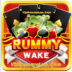 Rummy Wake Download