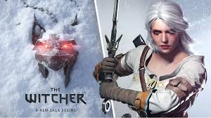 The Witcher New Game