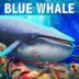 Blue Whale Game Download